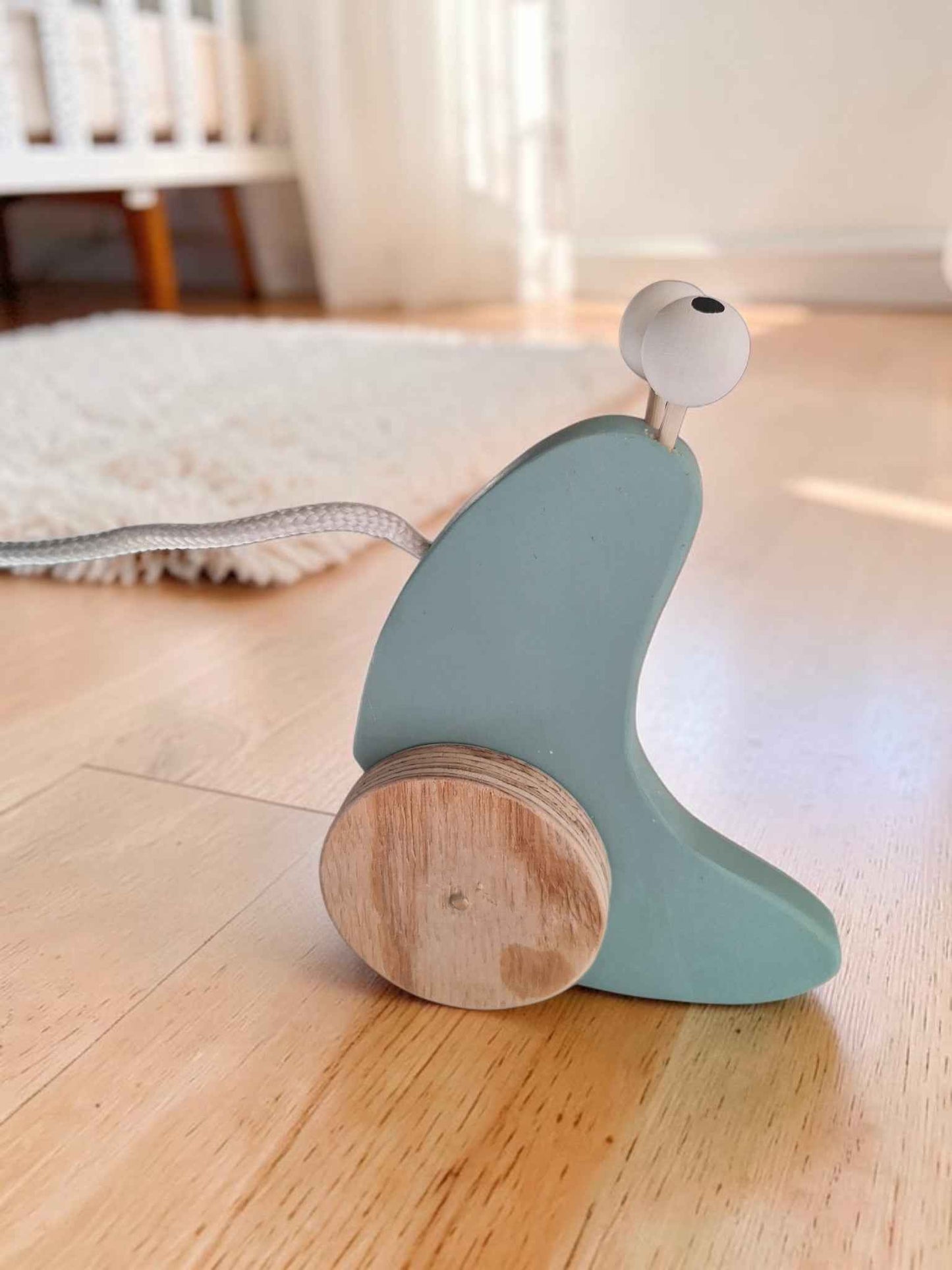 Wooden Snail Push & Pull Toy