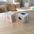 Wooden Colour & Shape Drawing Dice