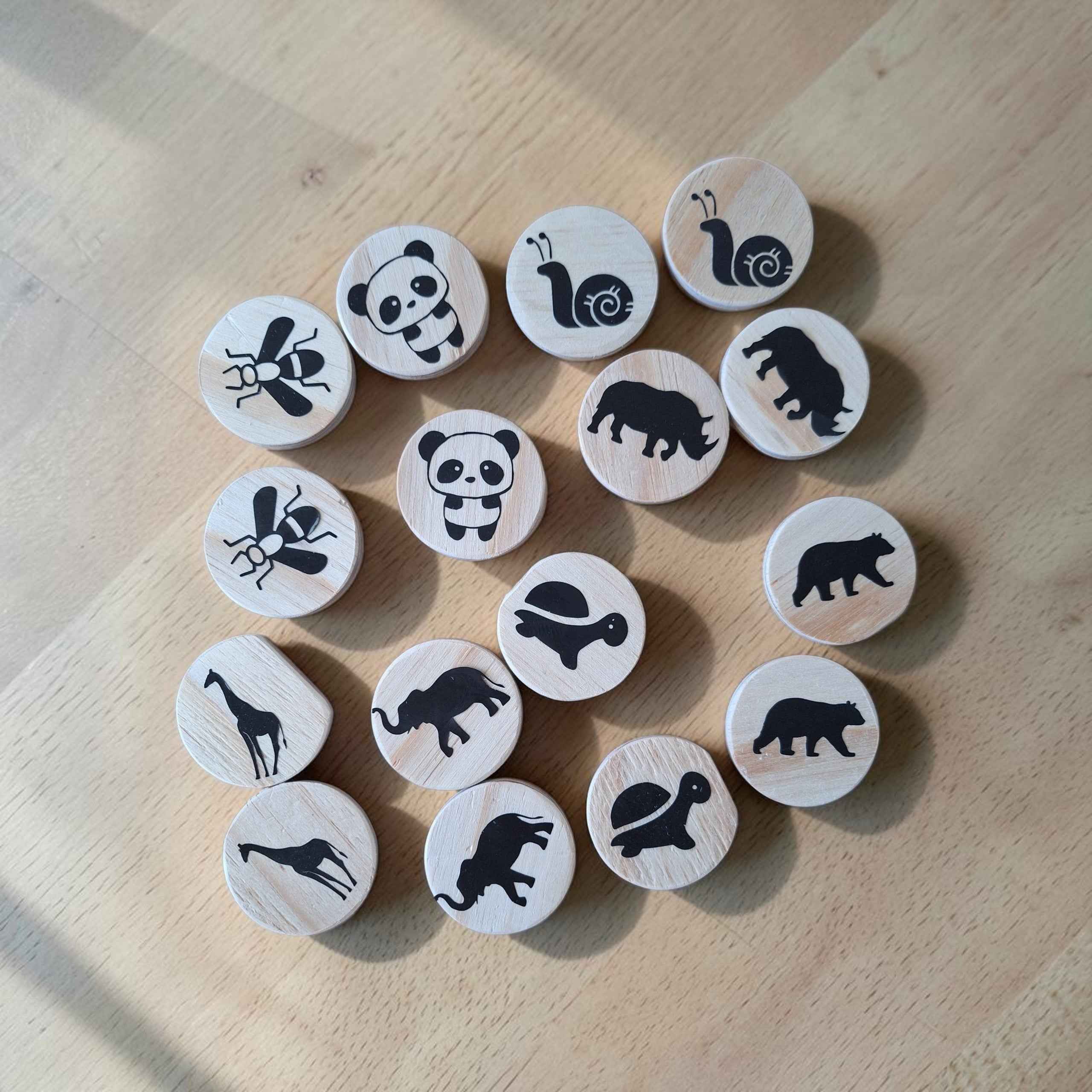 Wooden Matching Memory Set